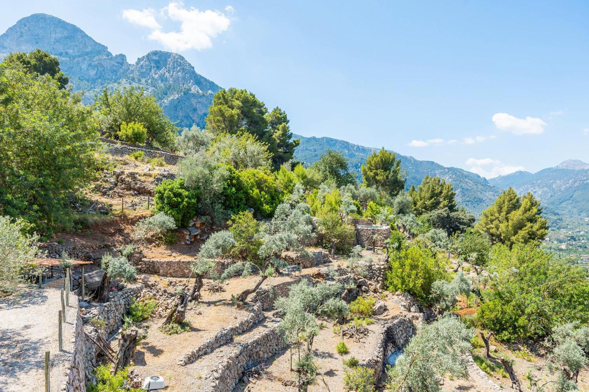 Els Abats Fornalutx